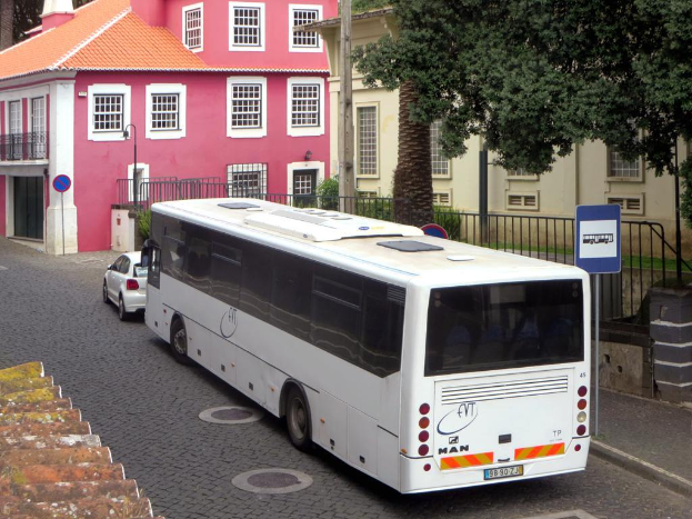 Fahrzeuge auf einer StraÃŸe mit Masten, Schildern und Absperrungen im Hintergrund, hinter denen BÃ¤ume, Pflanzen und GebÃ¤ude zu sehen sind.