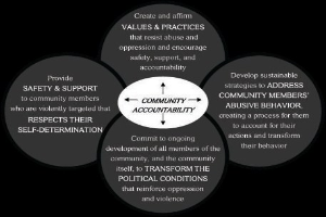 Ein Diagramm mit der Überschrift 'Gemeinschaftsverantwortung' und einem zentralen Kreis, der durch Pfeile mit drei sich überschneidenden Kreisen verbunden ist, alles in starken, leuchtenden Farben.