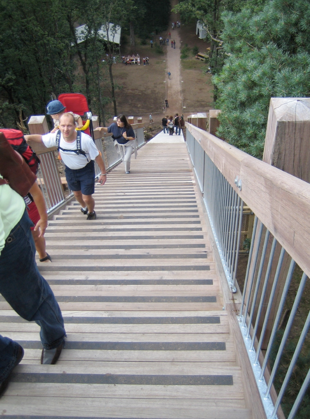 Eine Gruppe von Menschen versammelt sich unter dem Nachthimmel mit Sternen, Zelten und Bänken, mit Bäumen im Hintergrund.