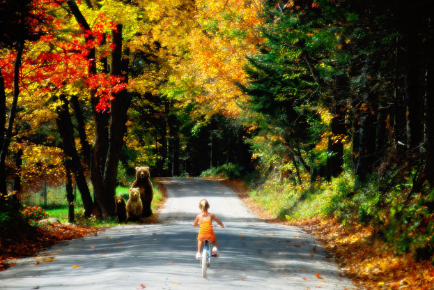 Ein M√∂dchen f√§hrt auf einem Fahrrad auf einer Stra√e mit Gras und B√§umen, begleitet von drei B√§ren.