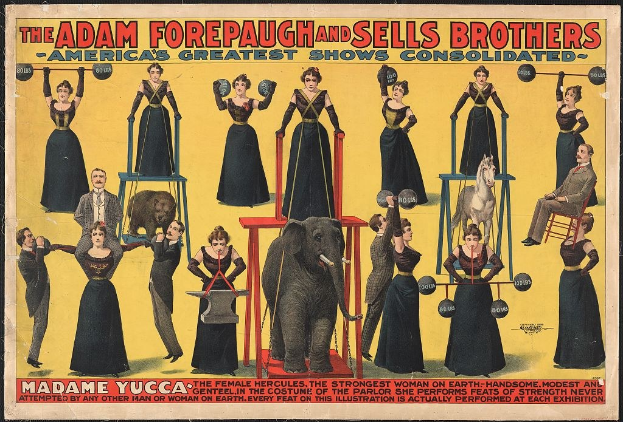 Plakat für die konsolidierte Zirkusshow von Adam Forepaugh und Sells Brothers mit Künstlern auf Hockern, einem Elefanten und Werbetext.
