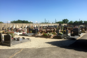 Ein Friedhof mit zahlreichen Grabsteinen, Blumen, einer Hintergrundmauer, Strommasten mit Kabeln, Bäumen und einem bewölkten Himmel.