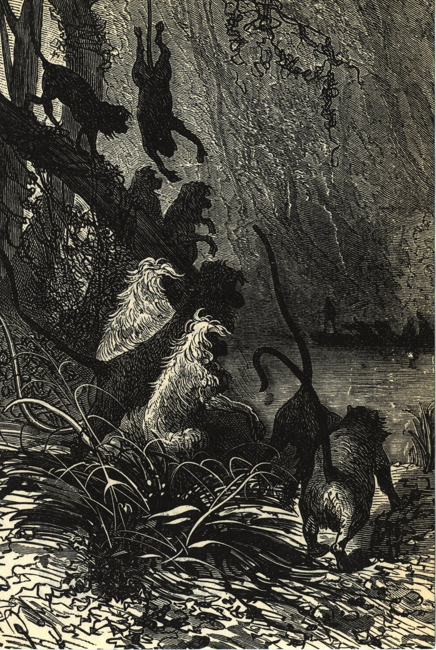 Schwarze und weiße Illustration einer Gruppe von Löwen in einer Dschungelumgebung mit üppiger Vegetation und Bäumen, die den Text 'Der König der Löwen' unten zeigt.