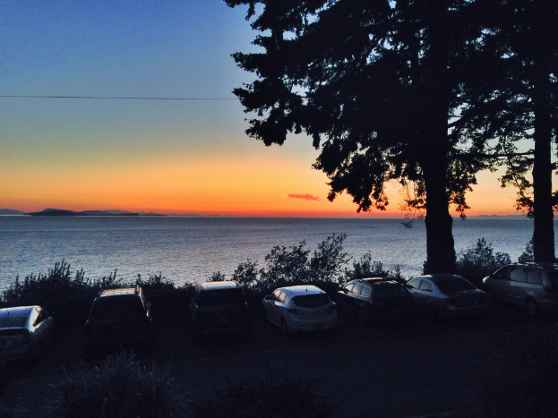 Eine Meeresansicht mit zwei B├Ąumen und einigen Pflanzen im Vordergrund und einer Reihe geparkter Autos im Hintergrund.