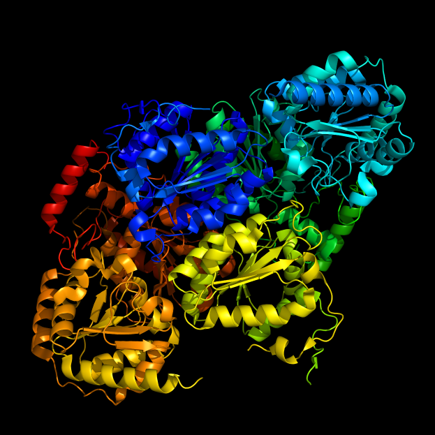 Ein 3D-Modell eines Proteinmoleküls in Form eines menschlichen Gehirns, mit farbigen Bändern auf schwarzem Hintergrund.