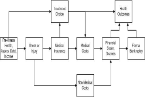 Flussdiagramm, das verschiedene Arten von medizinischen Kosten veranschaulicht, die mit Vorerkrankungen, Gesundheit und Gesundheitsergebnissen verbunden sind, mit verbundenen und beschrifteten K├Âstchen und Unterabschnitten.