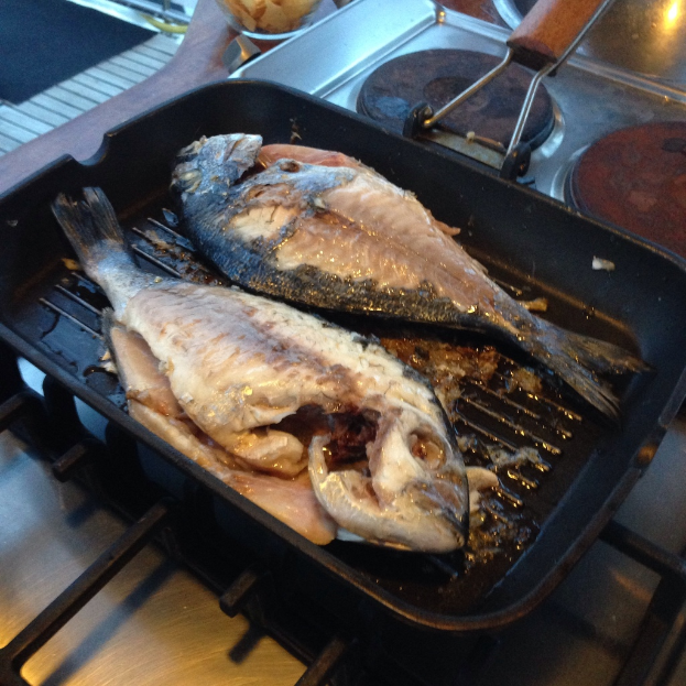 Ein Tablett mit Fisch in der Mitte, mit verschiedenen Gegenständen oben und einem Herd mit Grills unten.