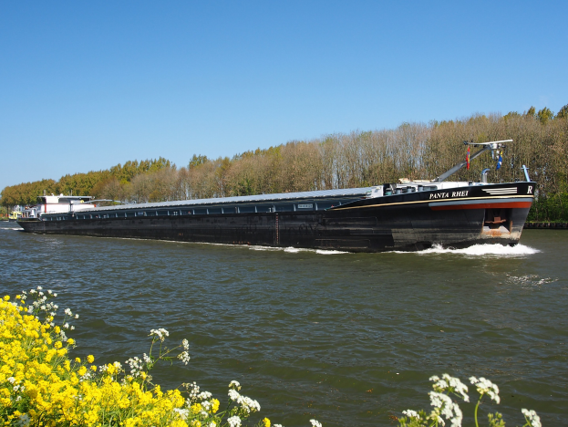 Ein großes Boot fährt einen Fluss mit grünen Bäumen an den Ufern und einem hellblauen Himmel hinunter, mit leuchtend gelben Blumen am Boden.