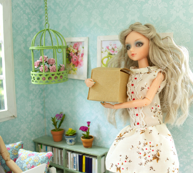 Eine Puppe in einem weißen Kleid mit einer Schachtel auf der rechten Seite eines Raumes mit Kissen in der linken unteren Ecke, einem Fenster auf der linken Seite, Fotorahmen an der Wand und Blumentöpfen und Bücherregalen unter den Rahmen.