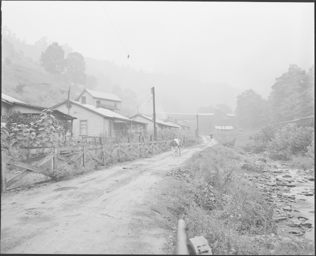 Ein Schwarz-Weiß-Foto einer Schotterstraße mit einem Pferd, das darauf läuft, umgeben von Pflanzen, Bäumen, Häusern, Pfählen, Drähten und einem Zaun, mit Hügeln und einem klaren Himmel im Hintergrund und Text am unteren Rand des Bildes.