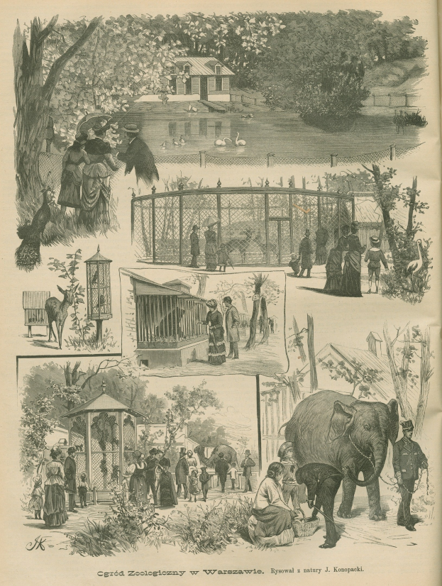 Eine alte Buchillustration, die Menschen und Tiere in einem Zoosetting zeigt, mit Bäumen, Häusern, einem Zaun und anderen Gegenständen sowie Text unten.