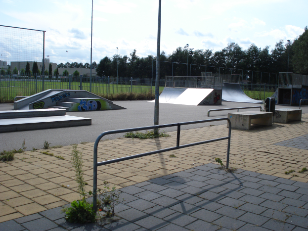 Ein Skatepark mit Rampen, Geländern und verschiedenen Hindernissen, umgeben von Pflanzen, Gras, Pfählen, Bäumen und Gebäuden, unter einem bewölkten Himmel.