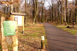 Eine Person reitet ein Pferd einen Waldweg entlang, mit einem hölzernen Schild auf der linken Seite und einem klaren blauen Himmel im Hintergrund.