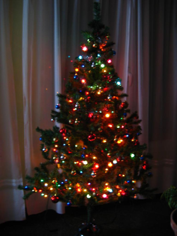 Ein Weihnachtsbaum mit Lichtern steht vor einem Vorhang und einem Topfpalme.