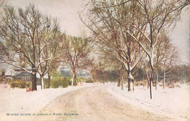 Winterszene im Lincoln Park, Chicago mit schneebedeckter Erde, Bäumen, Pflanzen, Häusern und Himmel; Text unten.