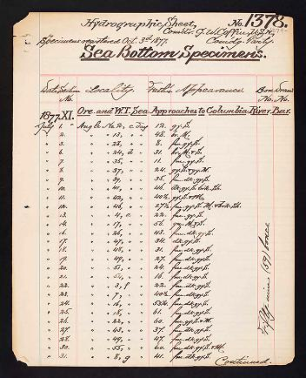 Ein Schwarz-Weiß-Foto eines Papiers mit einer Liste von Meeresboden-Spezimen von 1877-1878, gefüllt mit Text und Zahlen, die die Spezimen detailliert beschreiben.