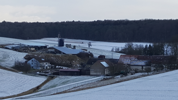 Ein Hof befindet sich in einem verschneiten Feld, umgeben von Bäumen und Häusern, mit einem klaren Himmel im Hintergrund.