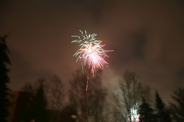Umgest√ľrzte B√§ume im Vordergrund mit Feuerwerk und Wolken im Hintergrundhimmel.