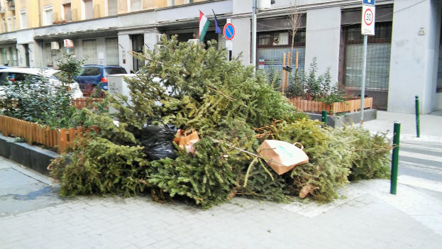 Ein Haufen Weihnachtsbäume auf der Seite einer Straße, umgeben von Pflanzen, Pfählen, Brettern, Fahnen und Fahrzeugen, mit einem Gebäude mit Fenstern im Hintergrund.
