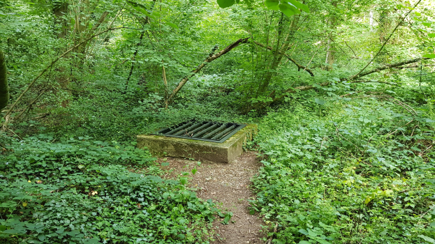 Ein kleines Metallgitter inmitten eines Waldes, umgeben von Bäumen und Pflanzen.