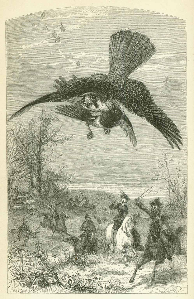 Radierung von 1876, die einen Wanderfalken im Flug über Menschen zu Pferd und Bäumen im Hintergrund zeigt, aus dem Buch "Die Greifvögel."