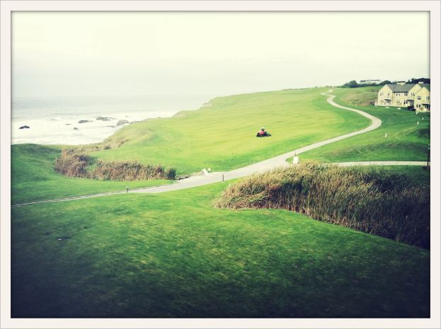 Landschaftsbild mit Unkraut und Feldern im Vordergrund, Traktor und Weg in der Mitte, Häuser und Bäume oben rechts, Wasser oben links und bewölkter Himmel.