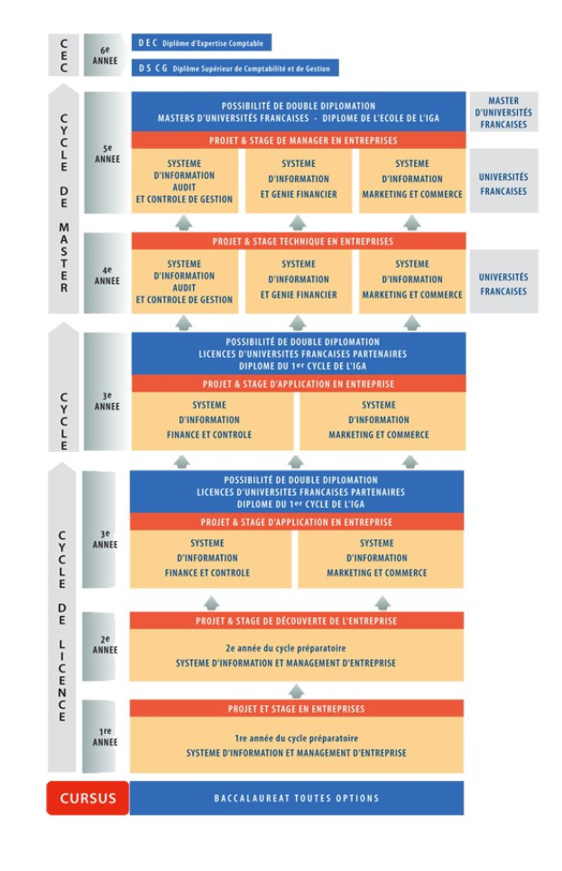 Diagramm, das die organisatorische Struktur eines Unternehmens mit interconnected boxes darstellt, die die Stufen des Geschäfts growths und der Entwicklung darstellen, begleitet von Text, der die Rollen und Verantwortlichkeiten beschreibt.
