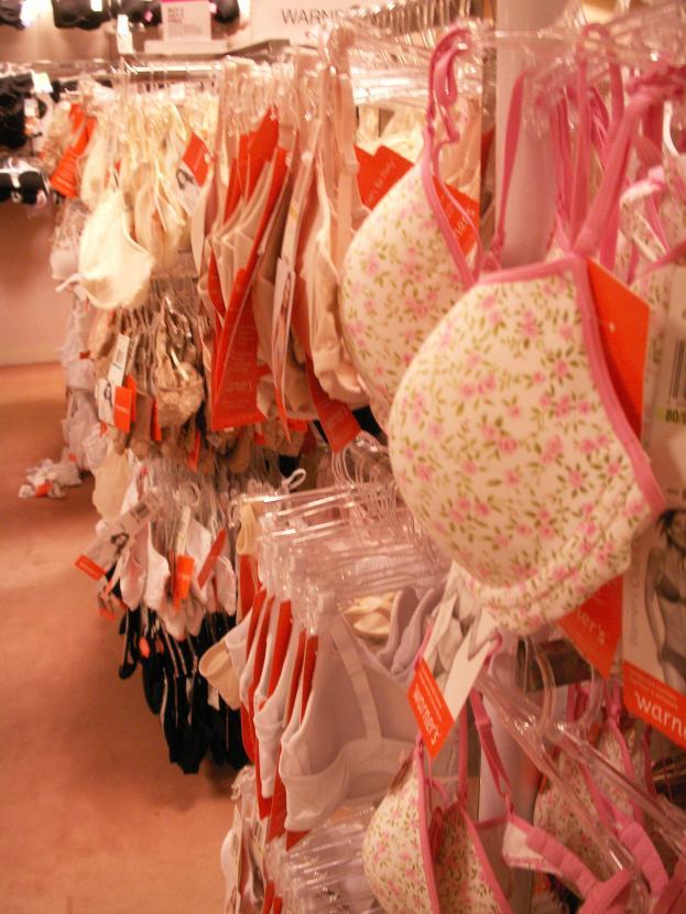 Eine Ladengewand mit einer Vielzahl von BHs, die an einer Stange hängen, jeweils mit einem Preisschild versehen, und einem Boden darunter.