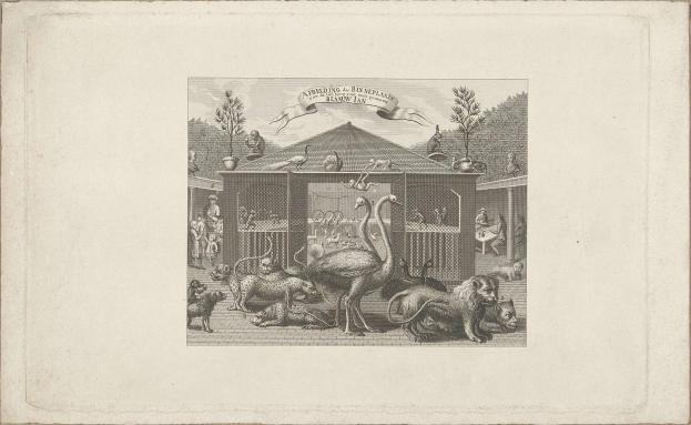 Großes Vogelfreigehege in der Fasanerie eröffnet, Waldrappen eingezogen