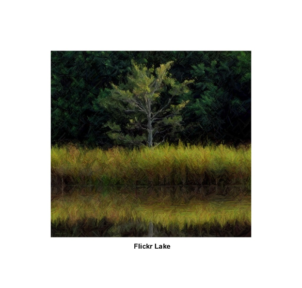 Eine grüne Fläche mit ein paar Bäumen und Text am unteren Bildrand.