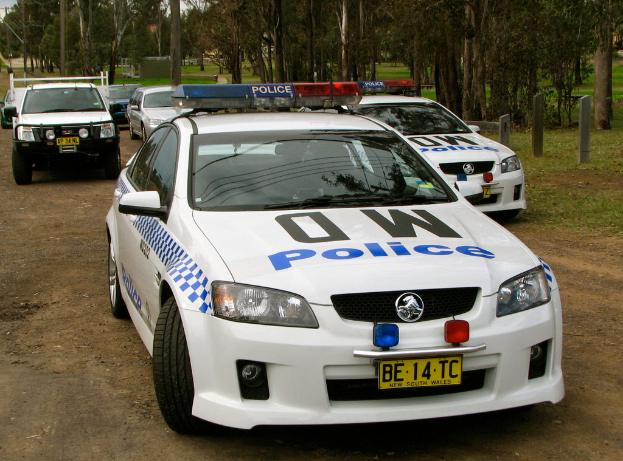 Ein Parkplatz voller Autos, umgeben von vielen Bäumen und Pflanzen, mit Text auf einigen Autos und einer grasbewachsenen Fläche im Vordergrund.